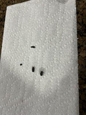 Sunshine Quality Solutions