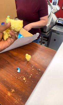 Oteri's Italian Bakery | Woodland Ave