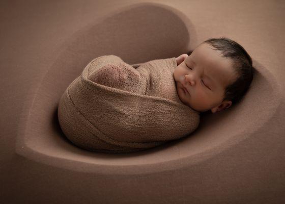 Sarah Bracci Photographics