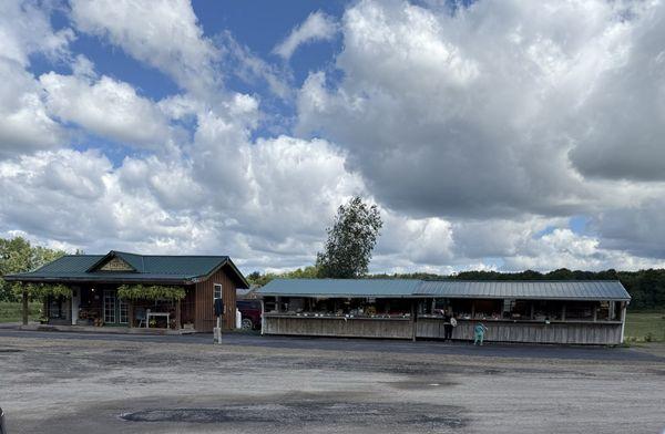 Thorpe's Organic Family Farm