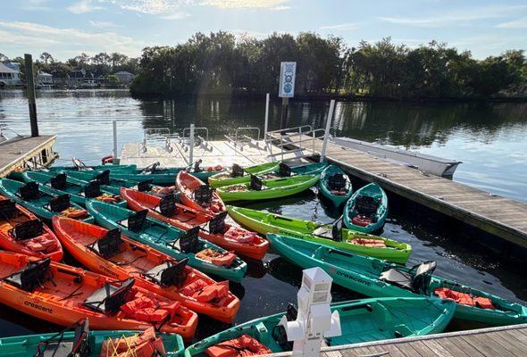 Our brand new kayaks ready to hit the water this summer!
