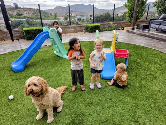 Harmony Grove Daycare