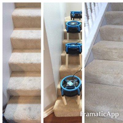 Cleaner Carpets of San Luis Obispo