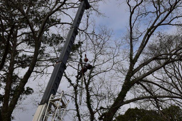 Southern Cutts Tree Service