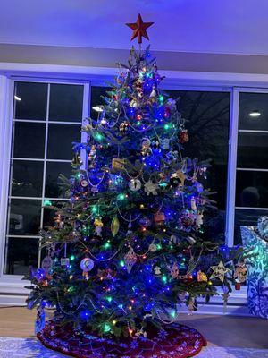 This years Frazier Fir from Paul's Christmas Trees