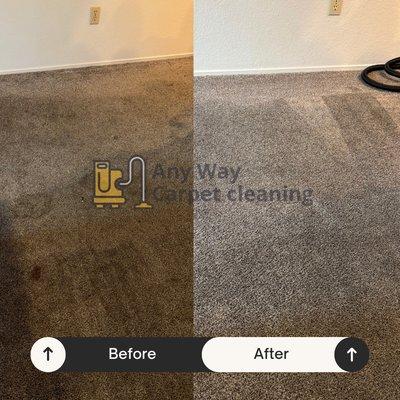 Any Way Carpet Cleaning