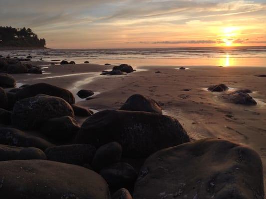 Dragonheart Herbs & Natural Medicine