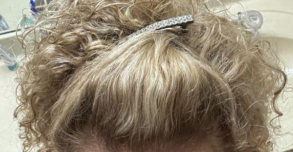 T'Styles by Terrie Irwin