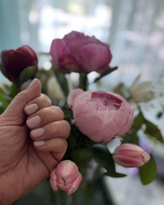 Orange Avenue Beauty Salon