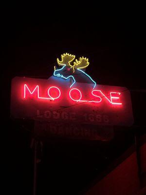 Moose - Snoqualnie Valley