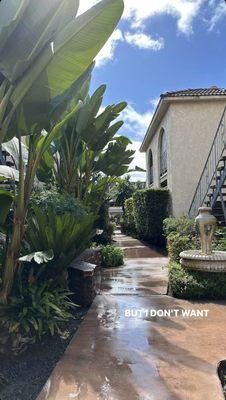 Casa Monterey Apartments