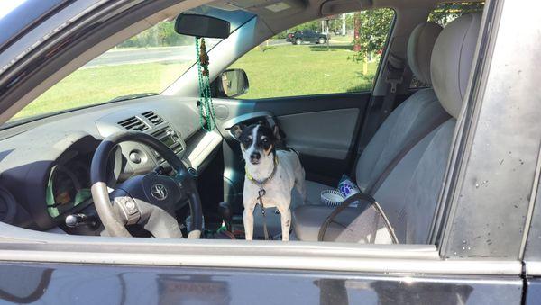 Island Shine Car Wash