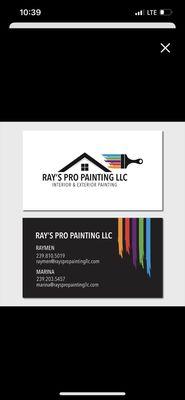 Ray's Pro Painting