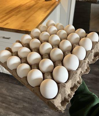 Meat Science Laboratory