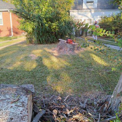 BiggStrik3r's Organization