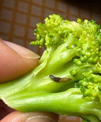 Tina's Cuban Cuisine