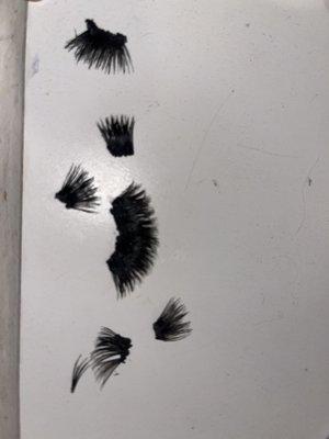 Lash clusters. With copious amounts of HAIR glue