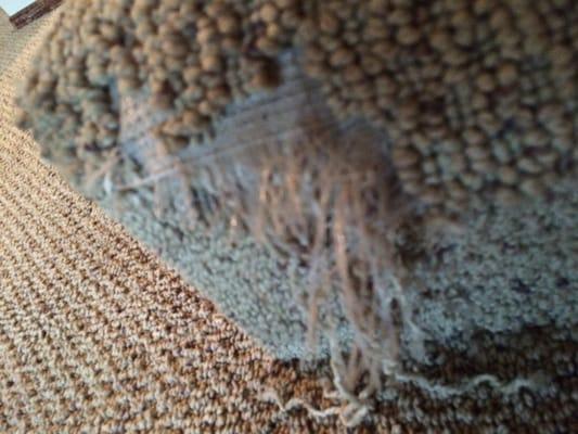 Before Tom fixed patch.