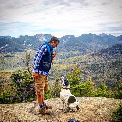 Great Off Leash Dog Training, LLC