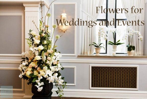Chantilly Floral