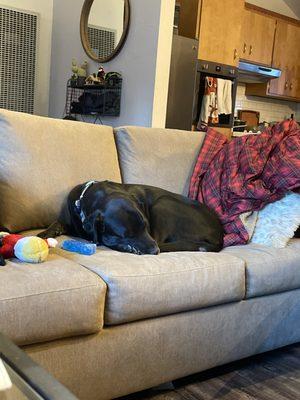 Leonard W Brothers, DDS Cosmetic & General Dentistry