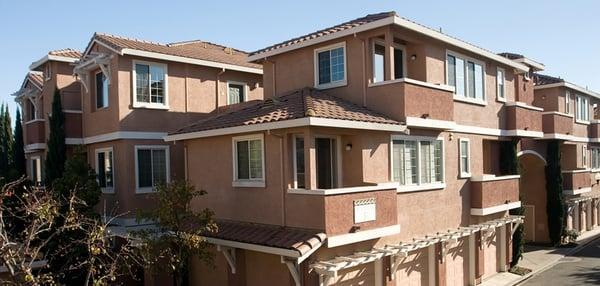 Ameropan Realty and Property Management