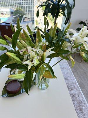 Sieck Claymore C Flrst