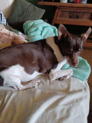 This is my bad boy Buddy