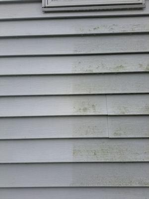 WD Maintenance and Cleaning