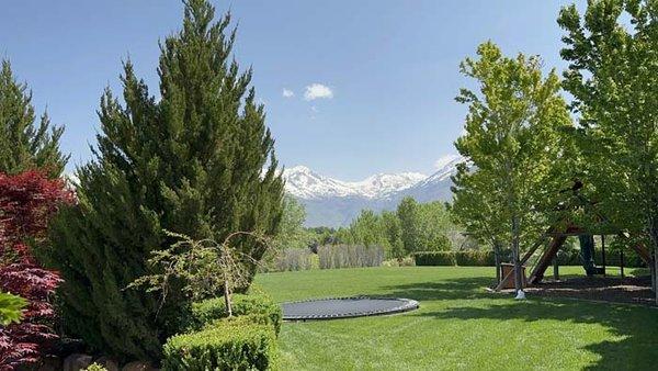 Thrive Landscape Services