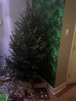 R&D Christmas Trees & More