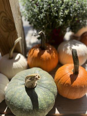 Dorset Garden Market