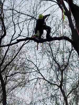 Mayberry Property Mgmt