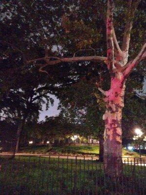 Lincoln Terrace Park