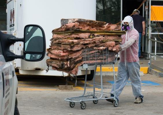 Allstate Environmental