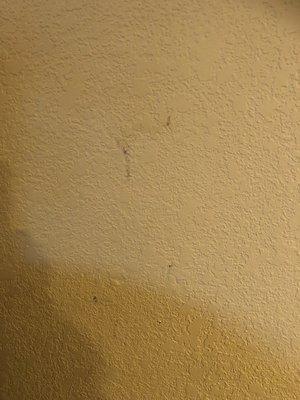 Have no idea what the was, and I'm not sure I ever want to know, but it was all over the walls.