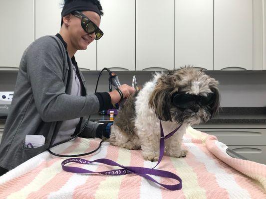 Plymouth Veterinary Hospital