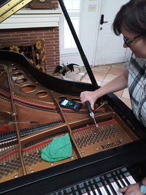 Laura Skrobarczyk tuning my Grand and adjusting my regulation. She was taught by Albert Kline. A+ service!!