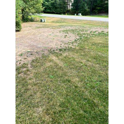 Natural Green Systems Lawn & Pest