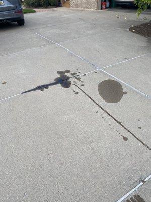 All In 1 Oil Change & Auto Repair