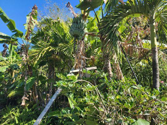 BROWARD SUNSHINE PROPERTY Services