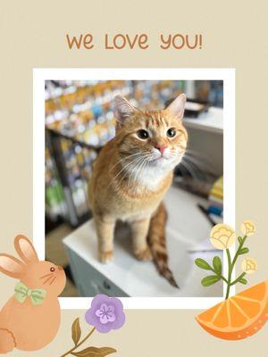 Fluff & Buff Boutique