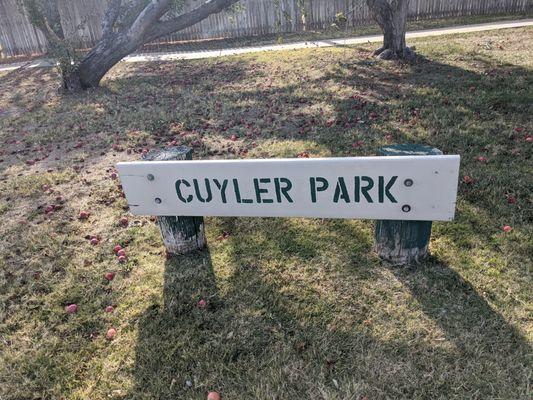 Cuyler Park, Pampa