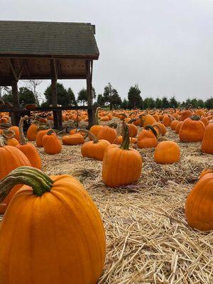 Rancho Siempre Verde