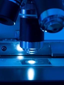 Stern Veterinary Forensics Consulting, LLC