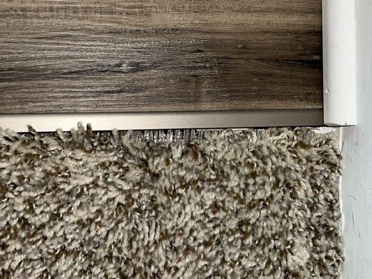 Whitmore Carpet One Floor & Home