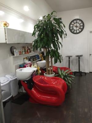 Hair washing station