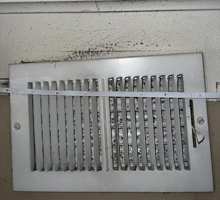 Town Center Apartments