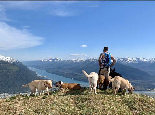 Hiking with the pups'