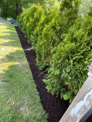 CML Landscaping